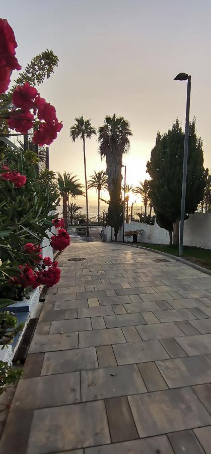 Apartamento Playa Las Americas ปลายาเดลาสอเมริกาส ภายนอก รูปภาพ